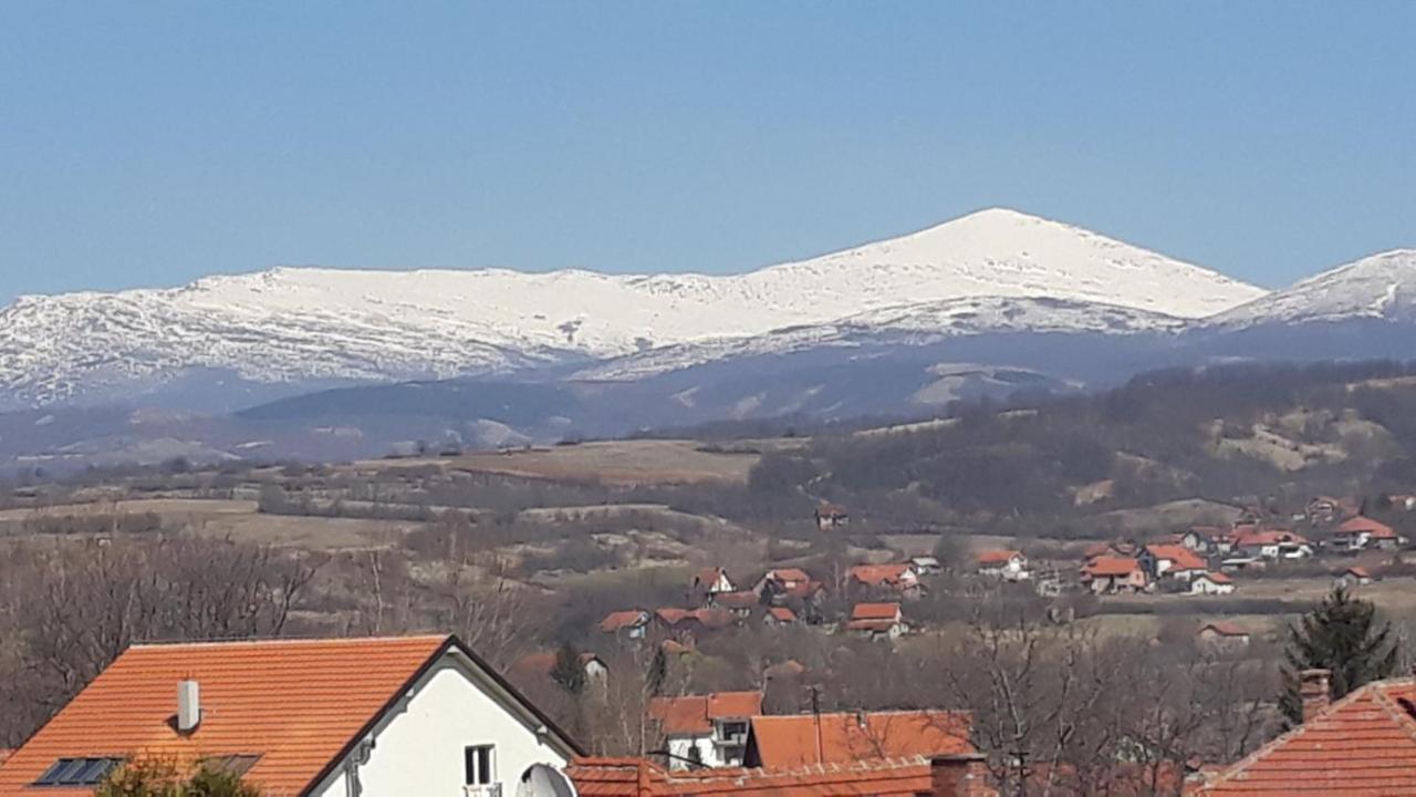 Apartman "Vienna" Sokobanja Eksteriør billede