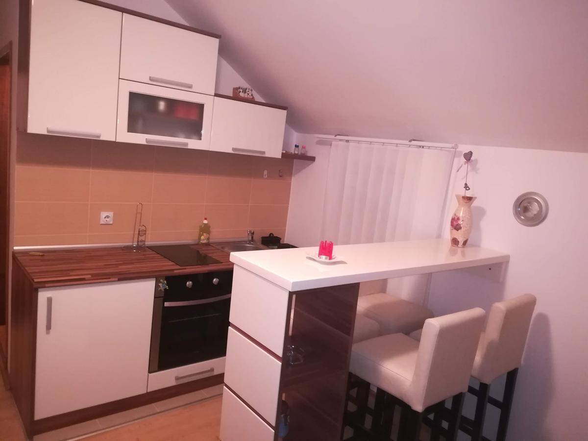 Apartman "Vienna" Sokobanja Eksteriør billede