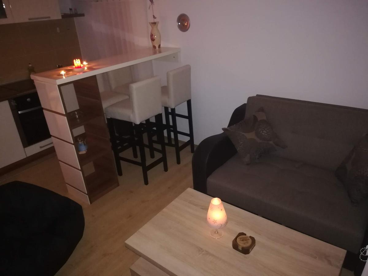 Apartman "Vienna" Sokobanja Eksteriør billede